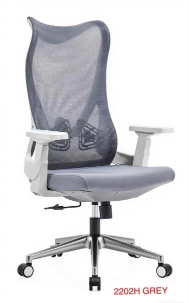 2202H GREY