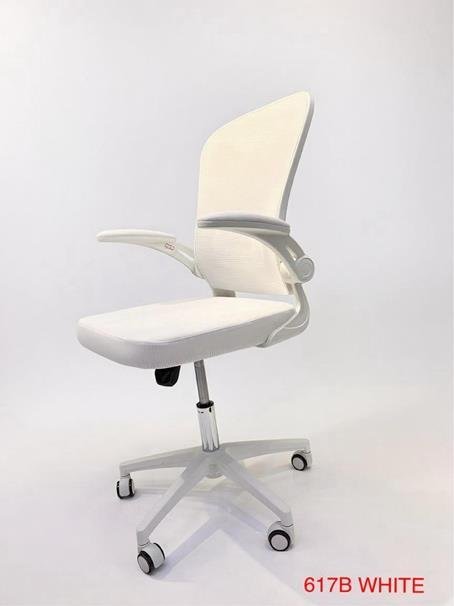617B WHITE